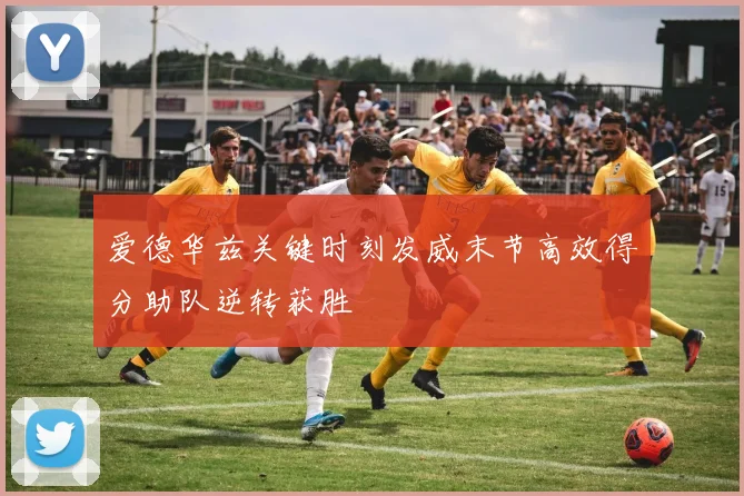 爱德华兹关键时刻发威末节高效得分助队逆转获胜